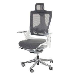 Ghế công thái học Ergonomic cao cấp Wonder II-01 HOGVP127