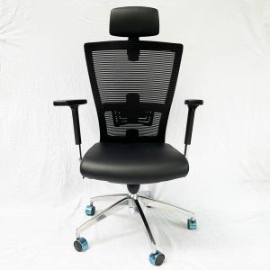 Ghế Ergonomic công thái học Nester-01