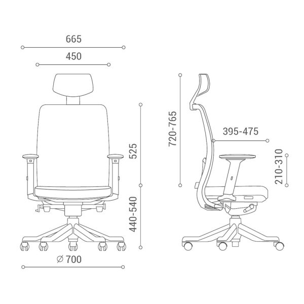 Ghế văn phòng Ergonomic ANTO-01 có tựa đầu HOGVP132