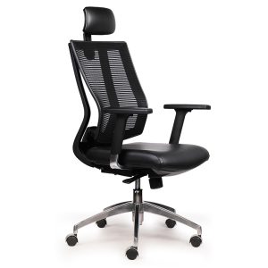 Ghế văn phòng Ergonomic Premier-01 RPB002