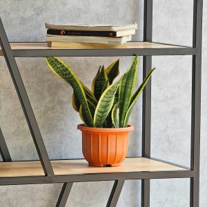 Kệ sách trang trí TRAP-SHELF gỗ cao su  KTB68044