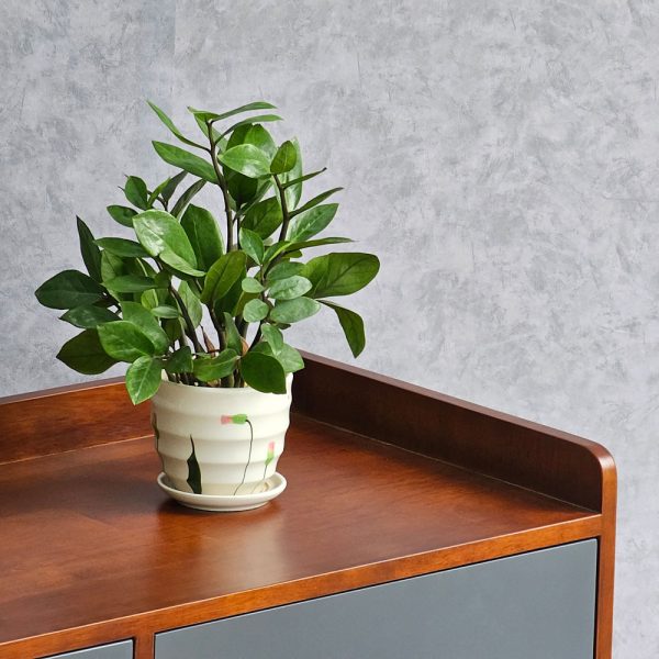 Tủ trang trí cửa kính gỗ cao su chân sắt KTB68123